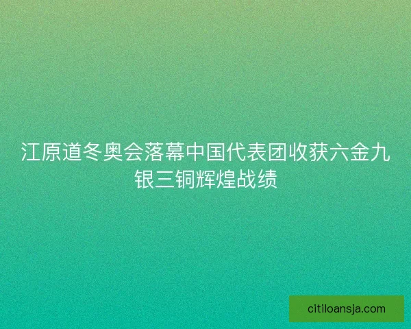 江原道冬奥会落幕中国代表团收获六金九银三铜辉煌战绩